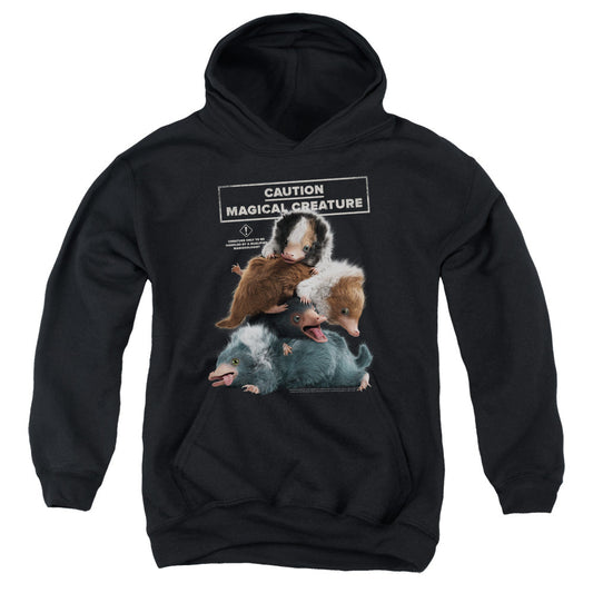 Fantastic Beasts 2 Cuddle Puddle Kids Youth Hoodie Black Officially Licensed