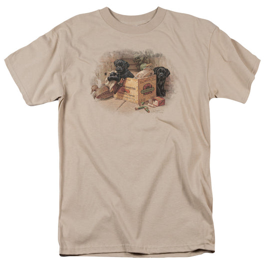Wildlife Box Boys Black Labs Mens T Shirt Sand Officially Licensed