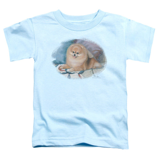 Wildlife Pomeranian Portrait Toddler Kids Youth T Shirt Light Blue