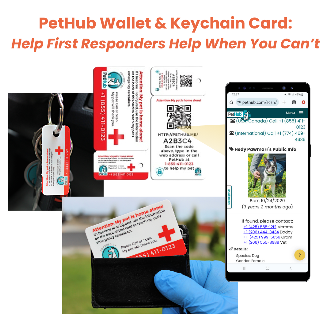 PetHub QR Pet ID Comprehensive ReadyKit – Complete Emergency Kit