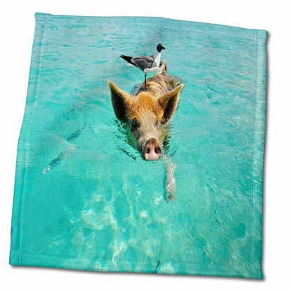 3dRose Print of Swimming Pig in Staniel Cay Bahamas
