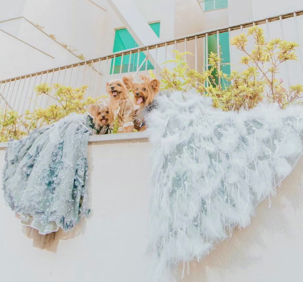 Feather Fantasy Pet Gown | Luxury Dog Dress for Special Occasions