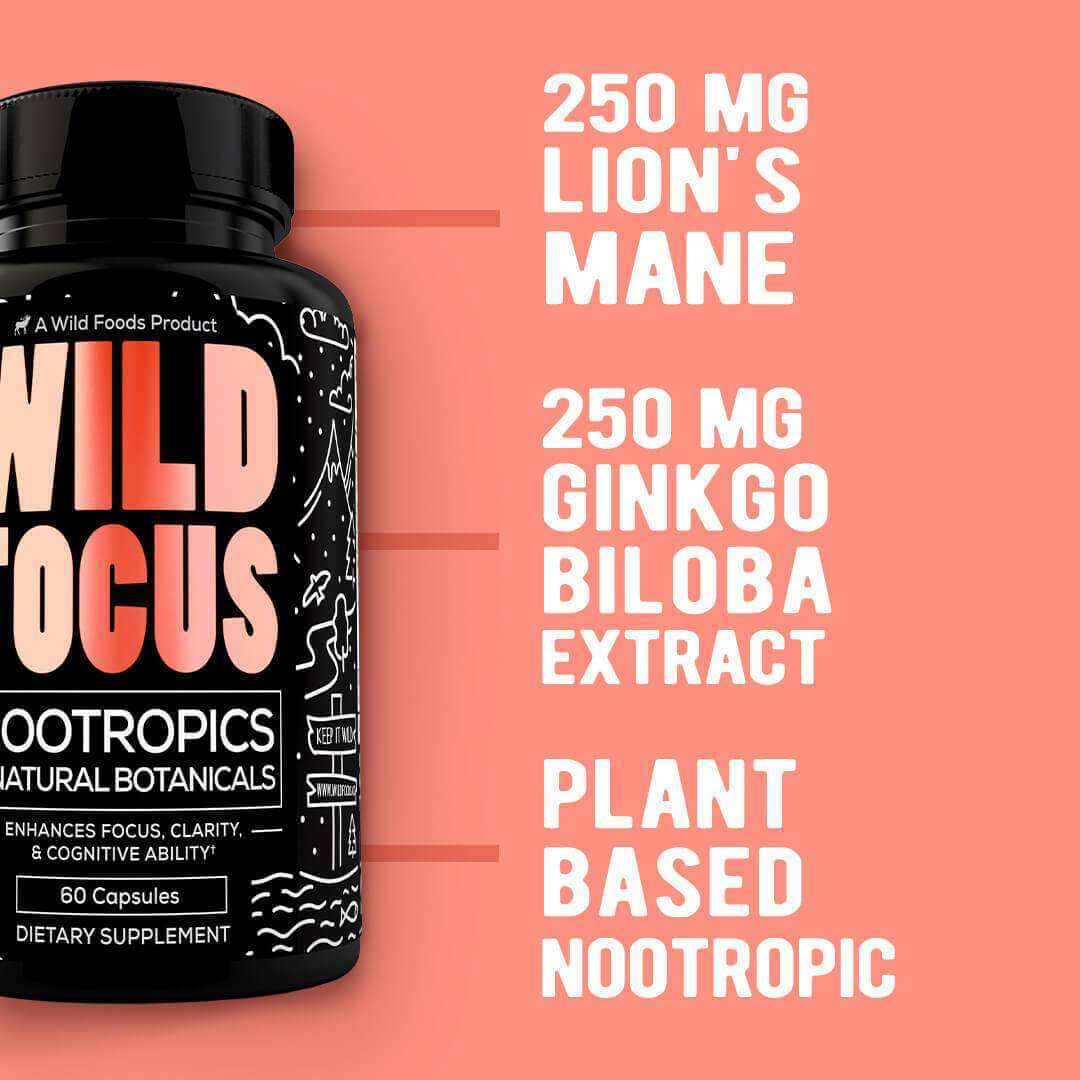 Wholesale Case of 12 - Wild Focus Nootropic Blend