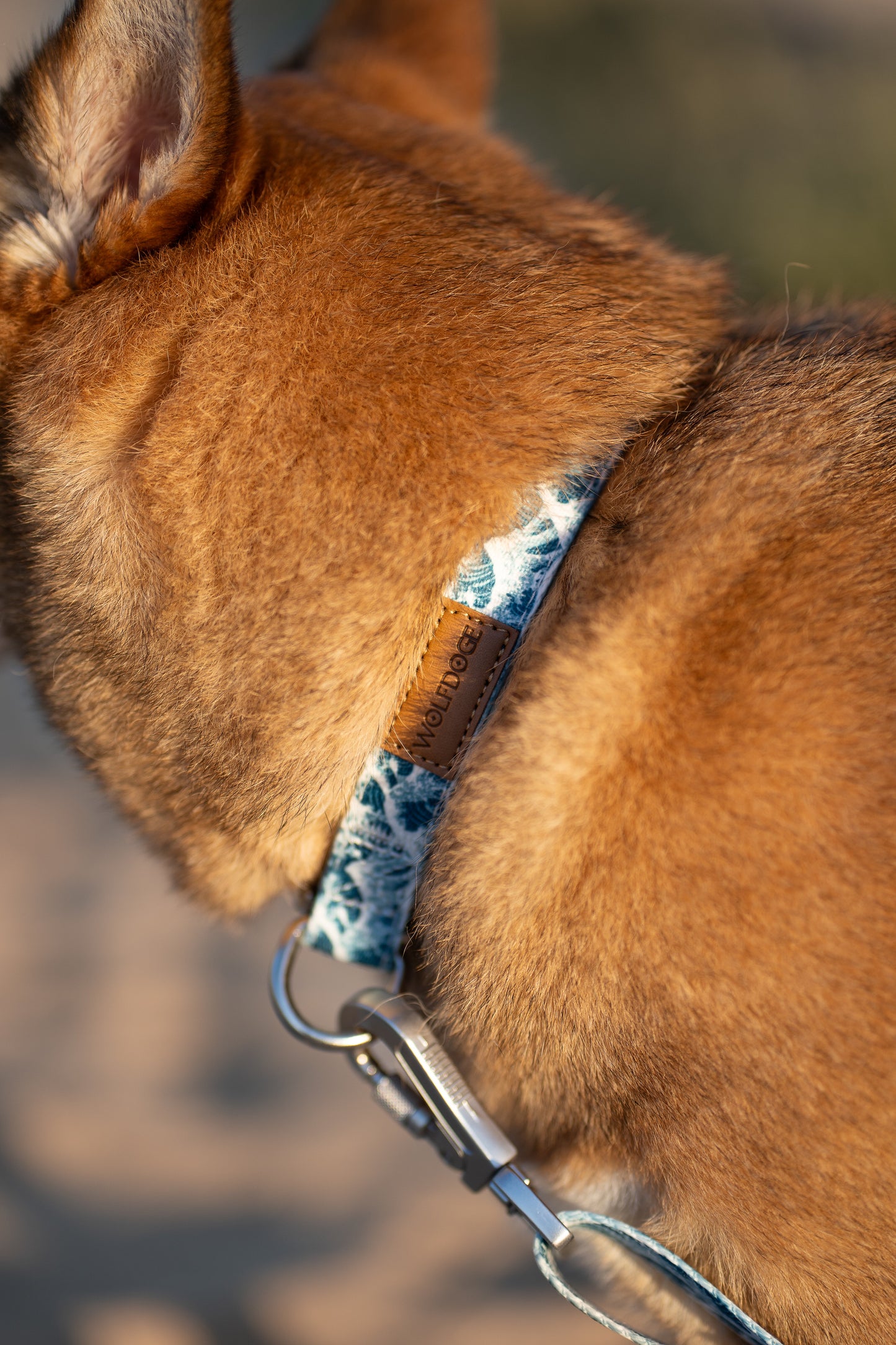 Great Wave Collar
