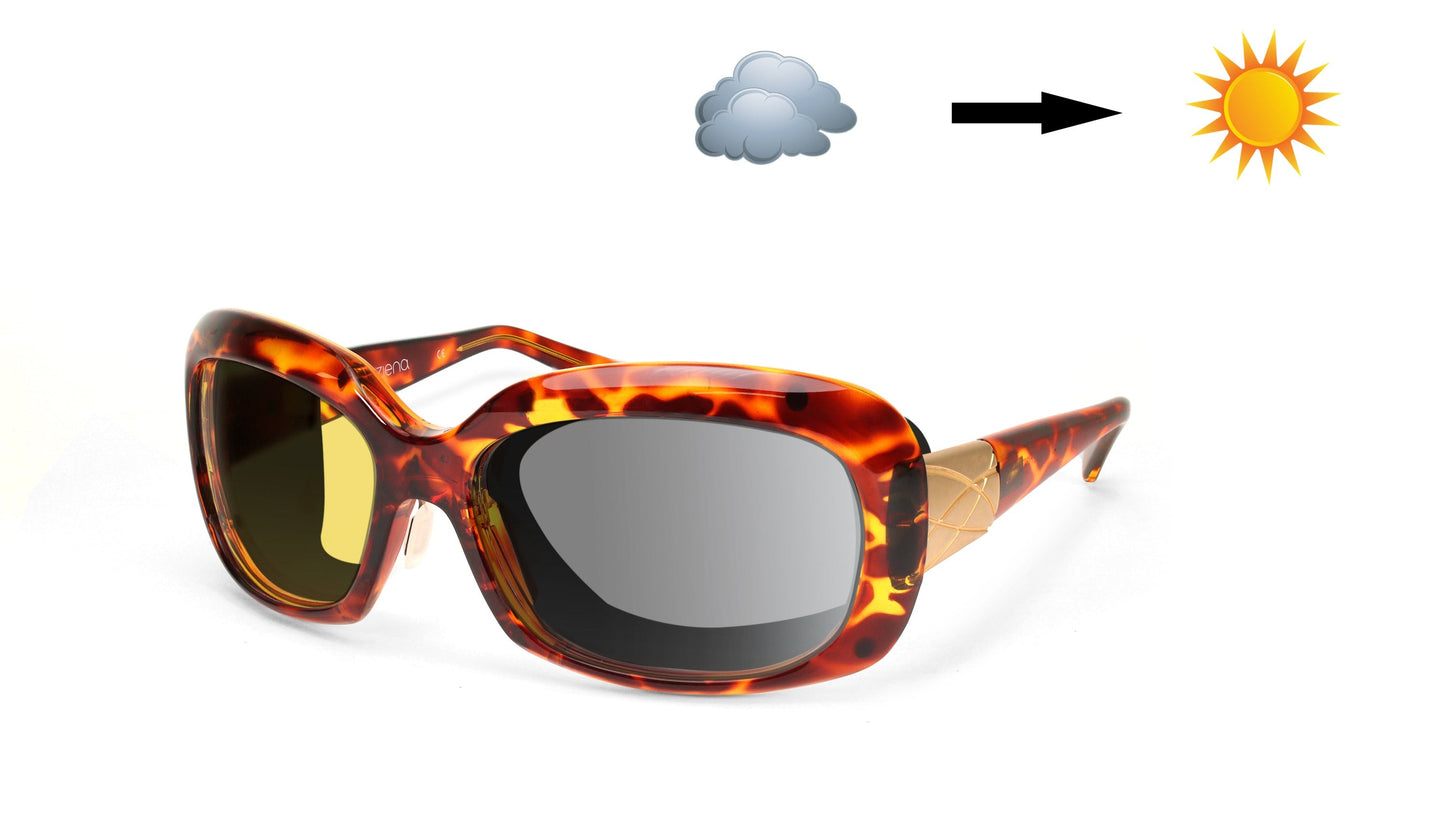 Oasis - Computer / Blue Light