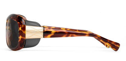 Oasis - Light Sensitivity