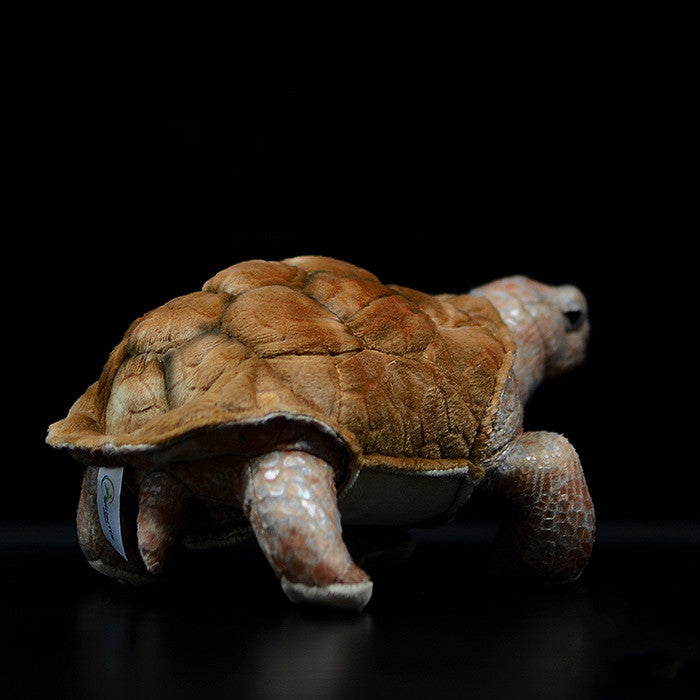 Galápagos Giant Tortoise (Chelonoidis niger) Plush