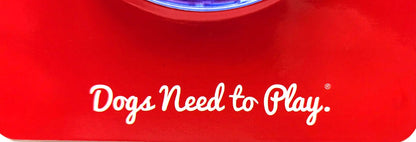 Kong Squeezz Geodz Balls Large 2Pk Squeaky Floating Dog Fetch Toy 3" Colors Vary