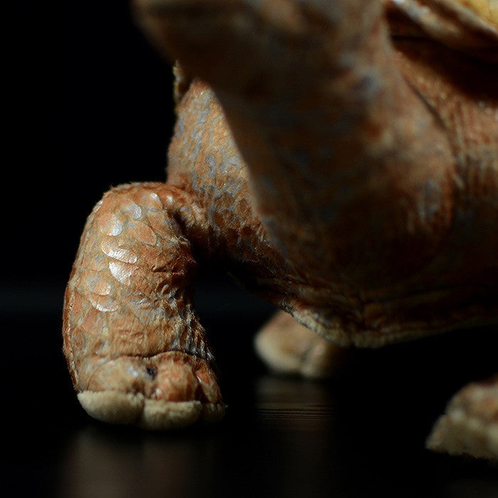 Galápagos Giant Tortoise (Chelonoidis niger) Plush