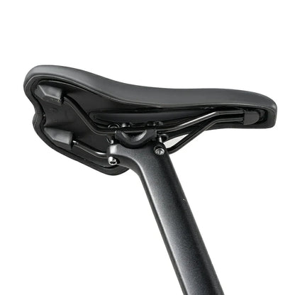 Gale - Aluminum Road Bike