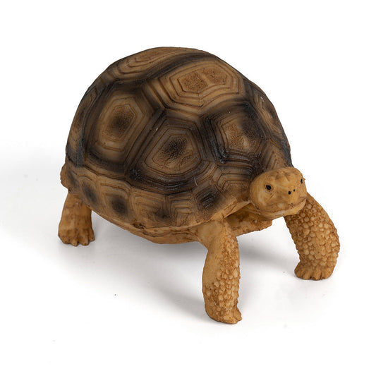 Realistic Resin African Spurred (Sulcata) Tortoise Figurine
