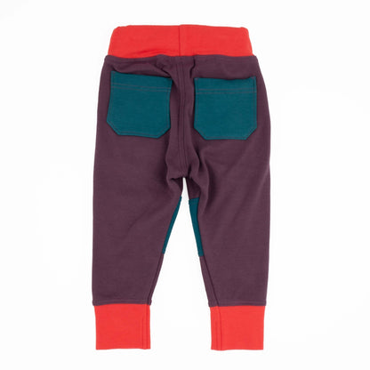 Adult Colorblock Joggers