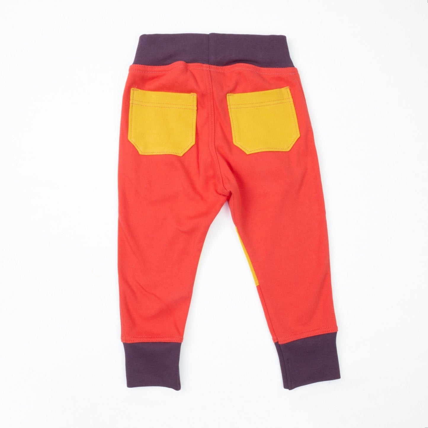 Adult Colorblock Joggers