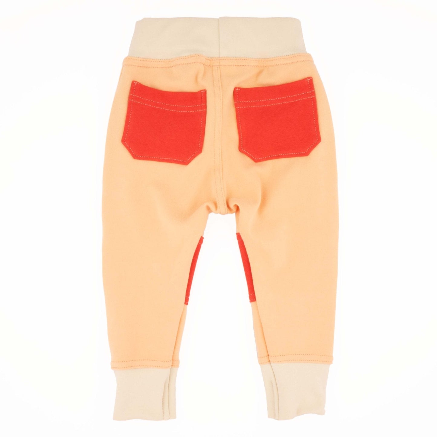 Adult Colorblock Joggers