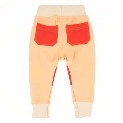 Adult Colorblock Joggers