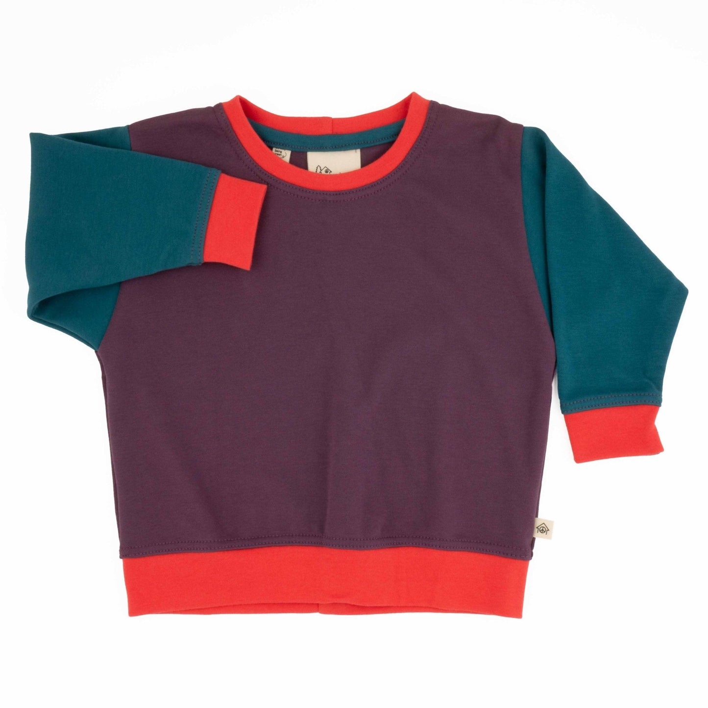 Adult Colorblock Sweatshirt