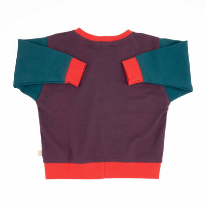 Adult Colorblock Sweatshirt