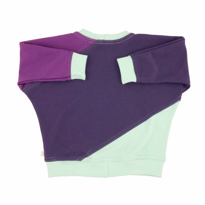 Toddler Diagonal Colorblock Sweatshirt