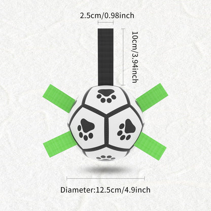 Interactive Football Ball Dog Toy