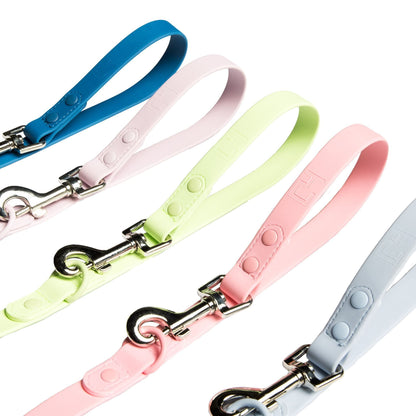 Furever 6' Leash by C4