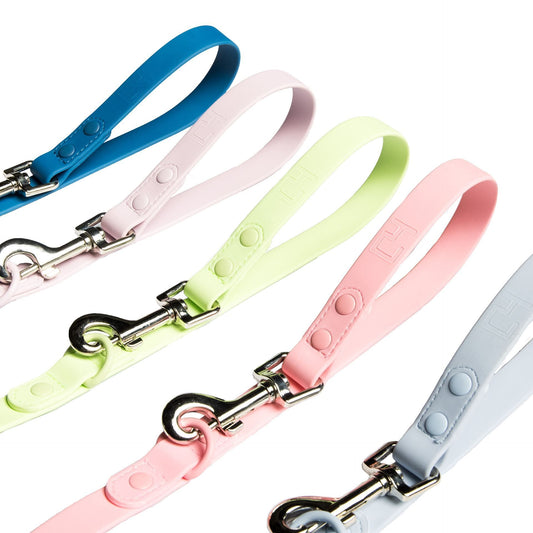Furever 6' Leash by C4