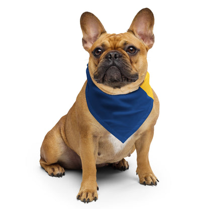 Barbados Flag Bandana