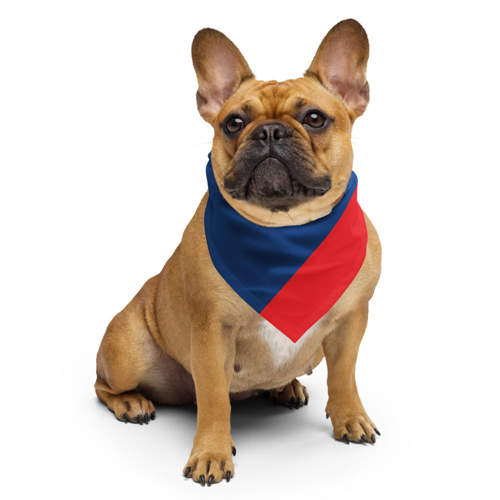 Belize Flag Bandana