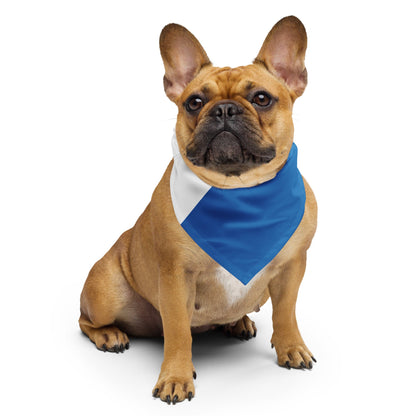 Nicaragua Flag Bandana