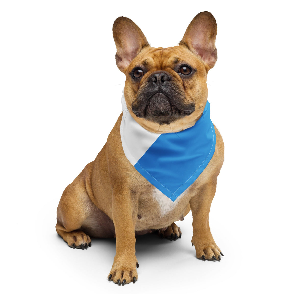 Honduras Flag Bandana