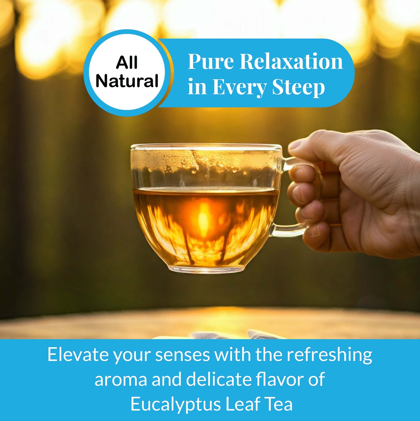 Akshit Eucalyptus Tea Bags - 75 Bags, Pure Eucalyptus Leaves,(te de eucalyptus)  Caffeine-Free Herbal Tea, 5oz, Te De Eucalipto