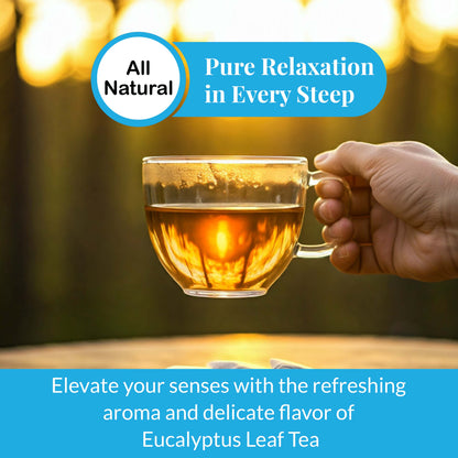 Akshit Eucalyptus Tea Bags - 75 Bags, Pure Eucalyptus Leaves,(te de eucalyptus)  Caffeine-Free Herbal Tea, 5oz, Te De Eucalipto