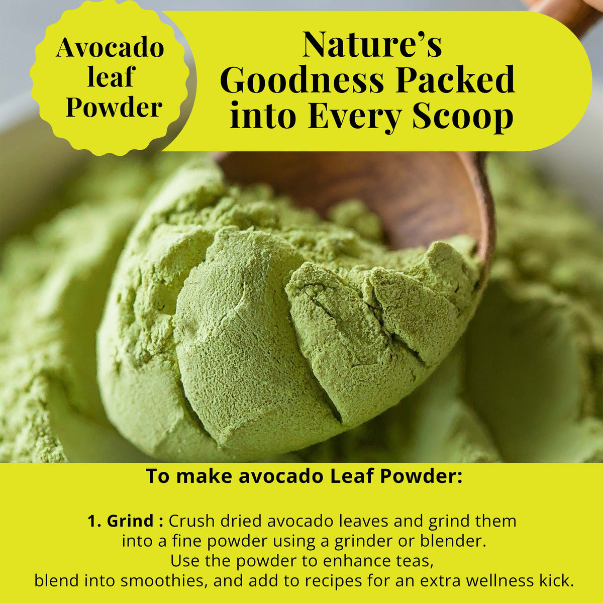 Dried Avocado Leaves, (Hojas De Aguacate) - 2.6oz (75gm). Makes 28 cups