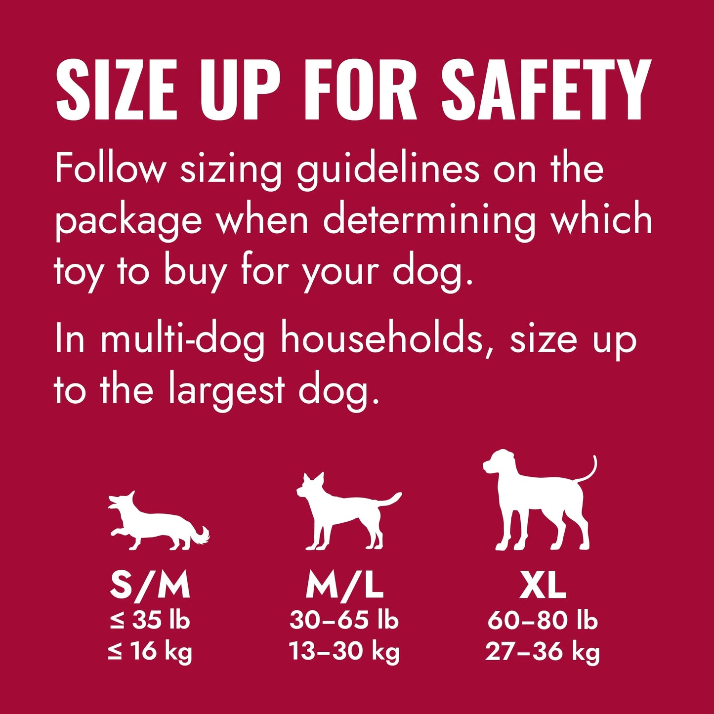 ® Ring Dog Toy, Medium/Large