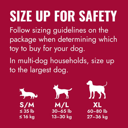 ® Ring Dog Toy, Medium/Large