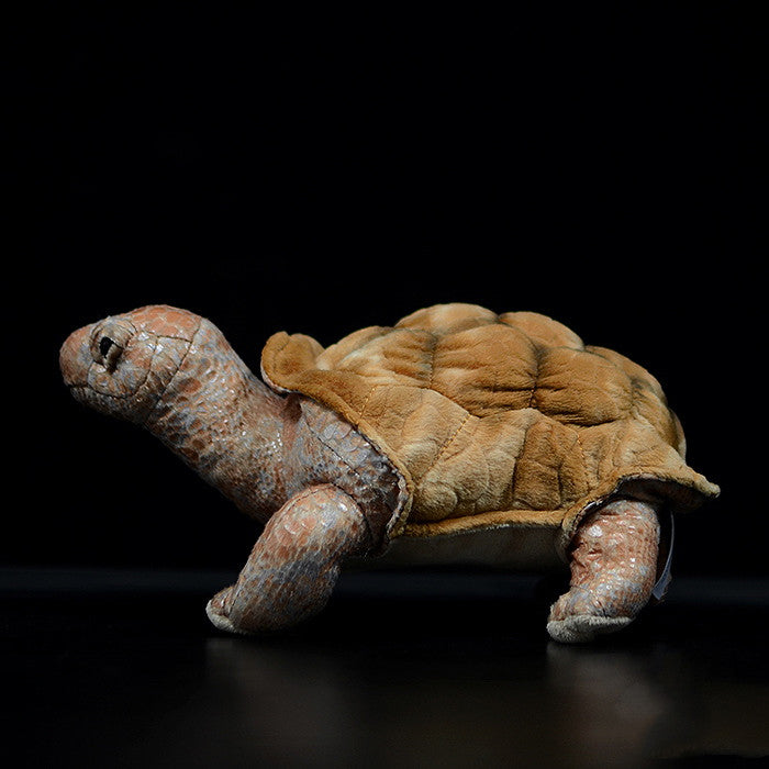 Galápagos Giant Tortoise (Chelonoidis niger) Plush