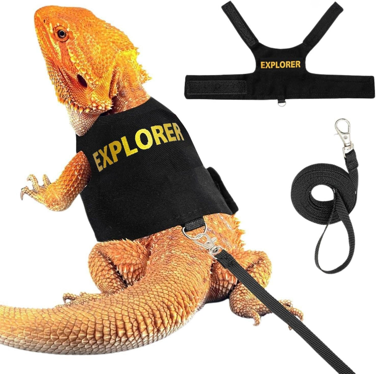 Tactical "Explorer & Security" Reptile Harness & Leash Set