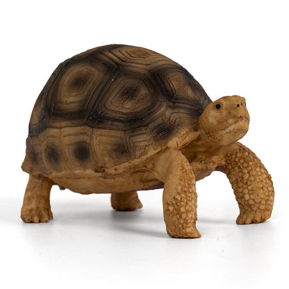 Realistic Resin African Spurred (Sulcata) Tortoise Figurine