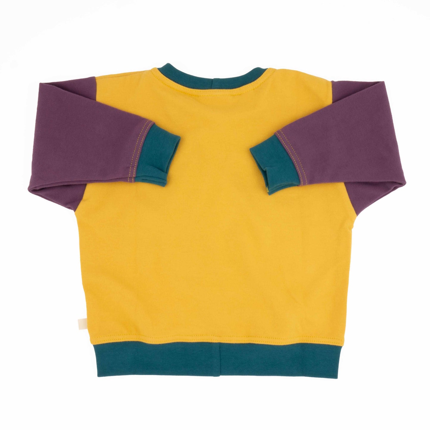 Baby Colorblock Sweatshirt
