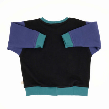 Baby Colorblock Sweatshirt