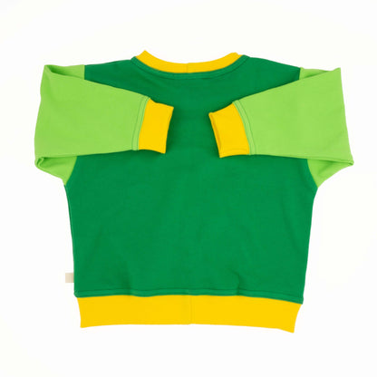 Baby Colorblock Sweatshirt