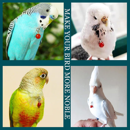 Parrot Bells Parrot Collar Necklace Parrot Decoration Parrot Scarf Clothes Budgerigar Peony Parrot Cockatiel Golden Sun Parrot