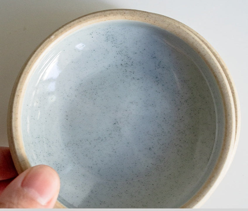 Earthy Oblique Ceramic Reptile Dish