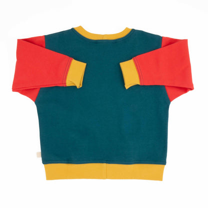 Big Kid Colorblock Sweatshirt