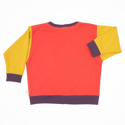 Big Kid Colorblock Sweatshirt