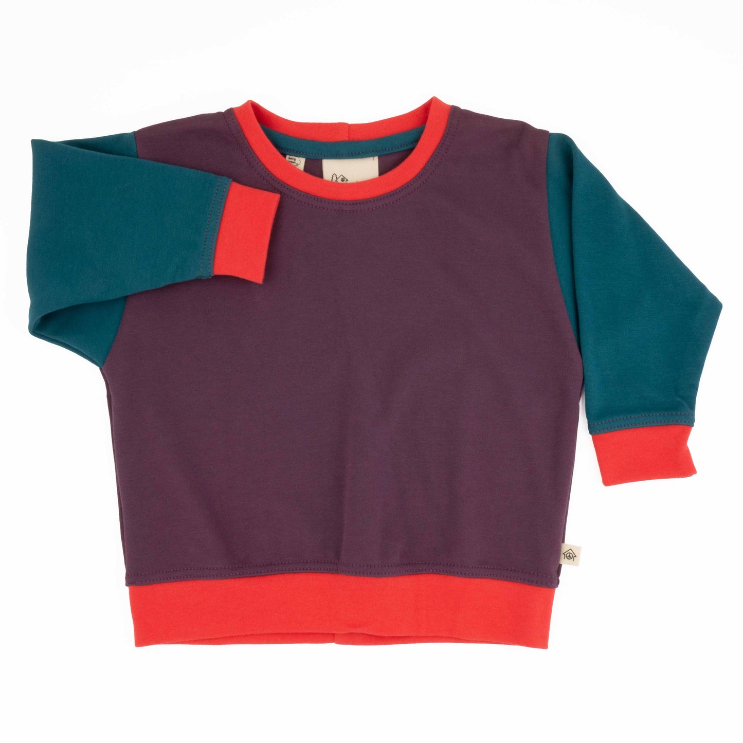 Big Kid Colorblock Sweatshirt