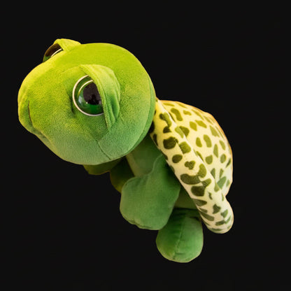 Big-Eyed Turtle Plush