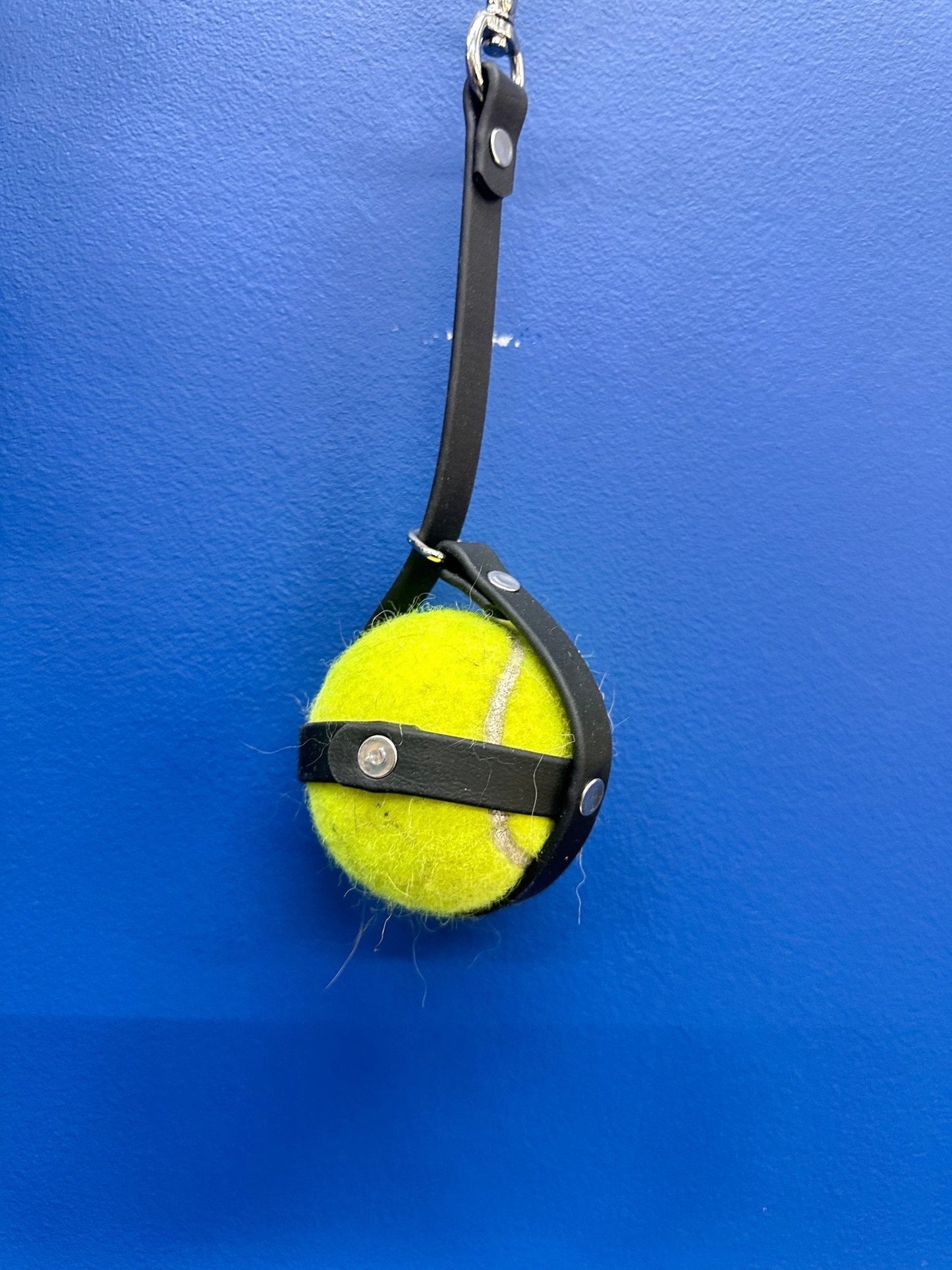 BioThane® Ball Sack | Slobber-Free Hands-Free Dog Tennis Ball Holder