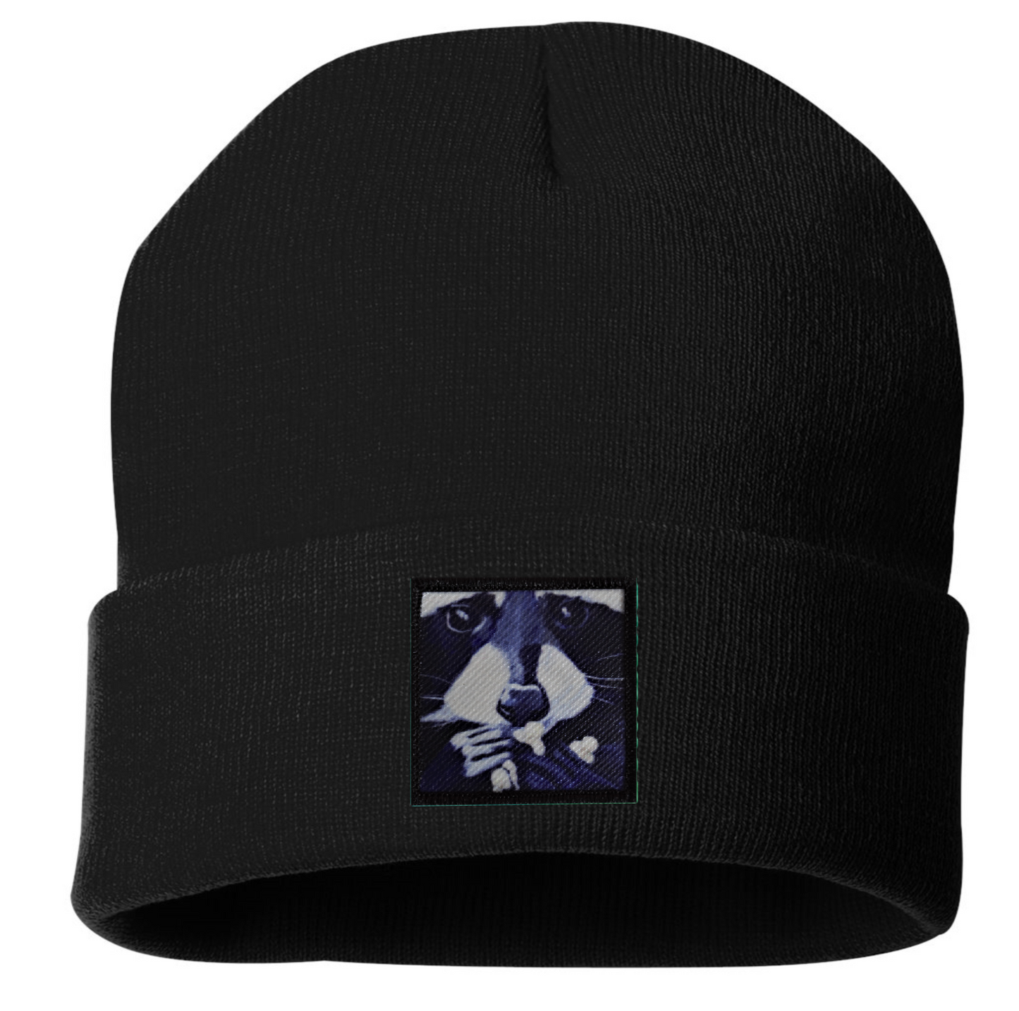 Raccoon Pop Beanie
