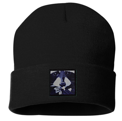 Raccoon Pop Beanie