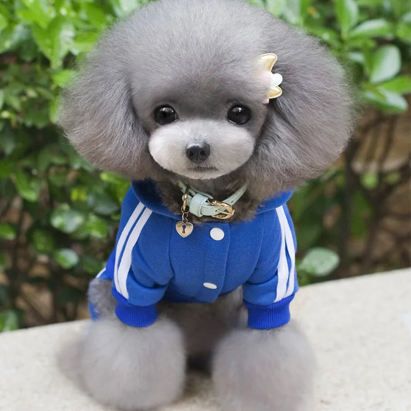 dsers Dog Hooded Jumpsuit for Small Dogs - Stylish Activewear